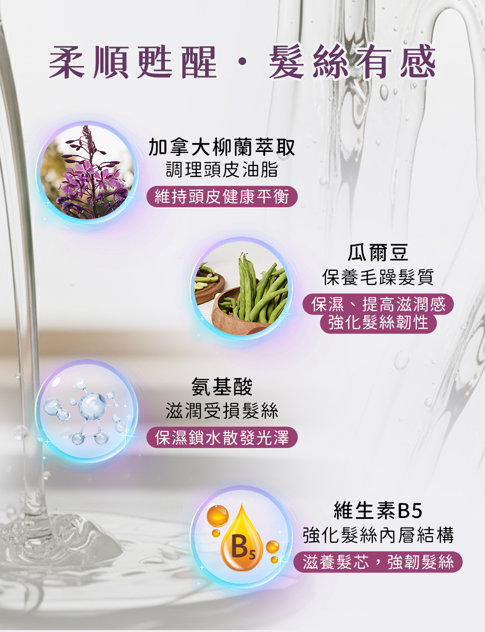 柔順甦醒 髮絲有感 加拿大柳蘭萃取 瓜爾豆 氨基酸 維生素B5